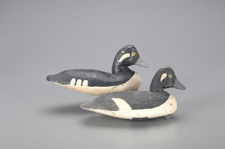 Doug Jester – Two Bufflehead Hens – 2021