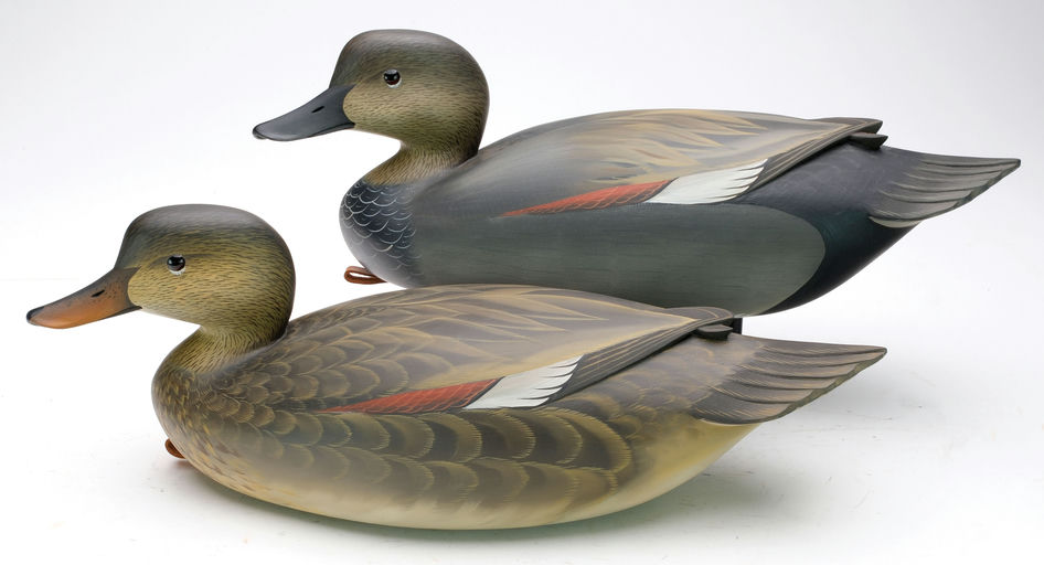 George Strunk – Pair of Gadwall – 2024