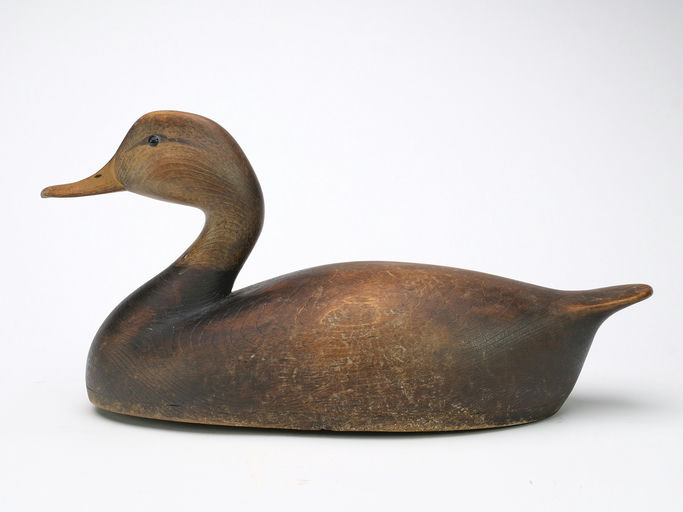 Cameron McIntyre – Black Duck – 2024