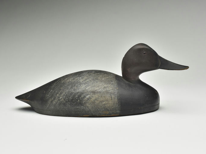John R. Wells – Canvasback – 2023