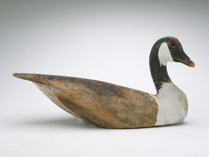 Ward Brothers – Early Canada goose – 2024