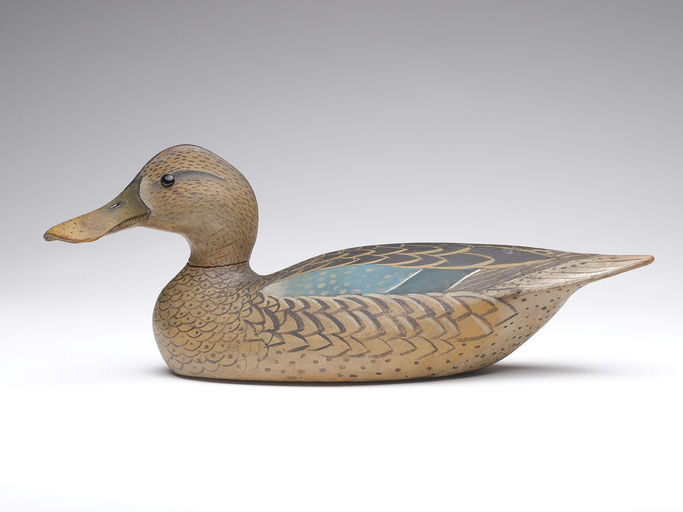Ward Brothers – Shoveler – 2024