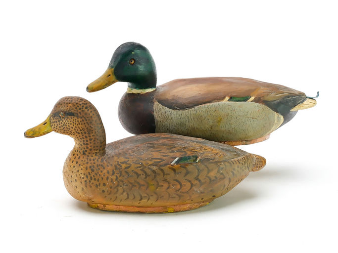 Tom Schroeder – Mallard – 2025