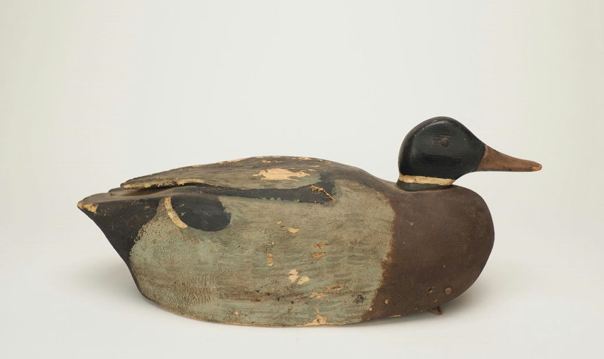Lonnie Ganung — Mallard Drake