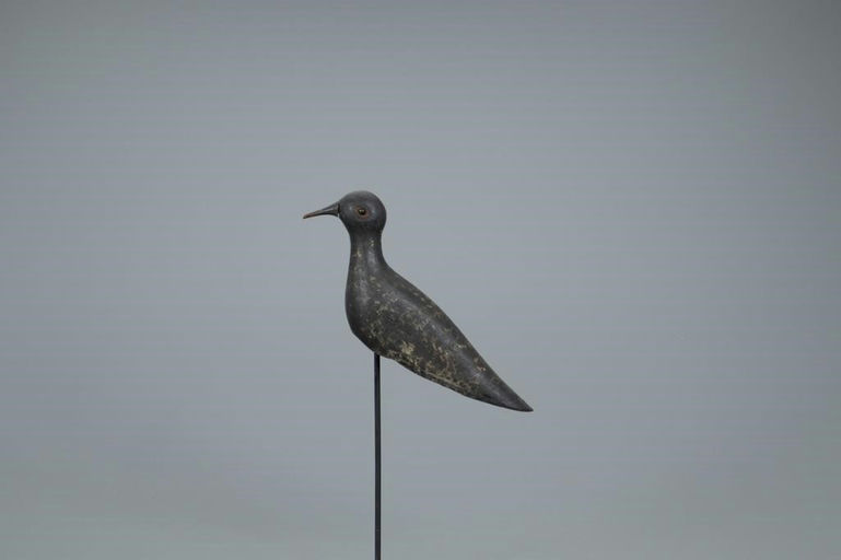 William C. Chipman – Golden Plover – 2020