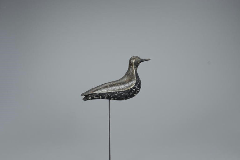 Mr. Webster – Webster Calling Golden Plover – 2020