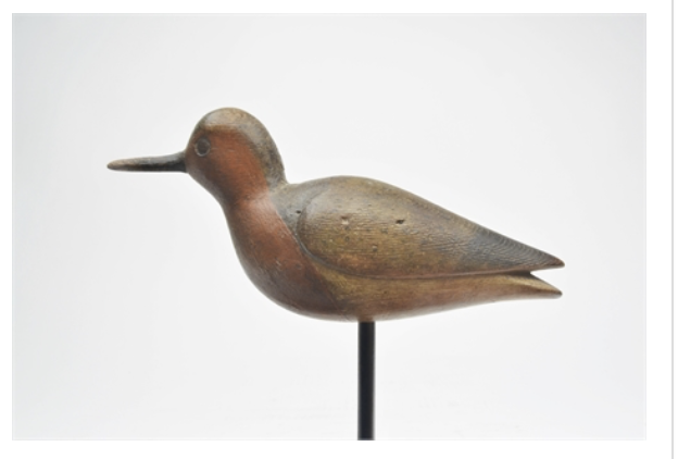 Mark McNair – Red Knot – 2021
