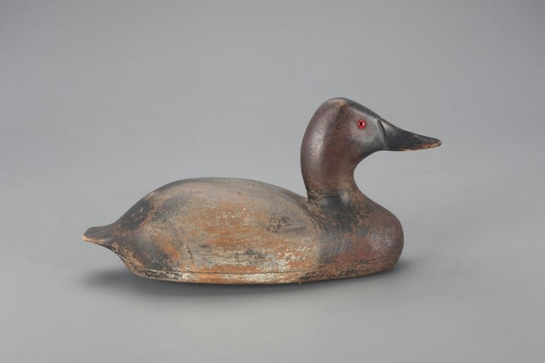 William Finkle – Canvasback Drake – 2021