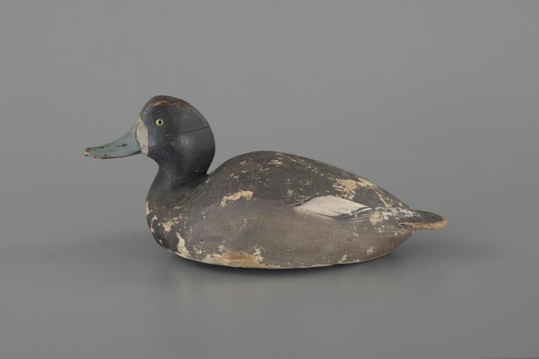 Ward Brothers – Bluebill Hen – 2025