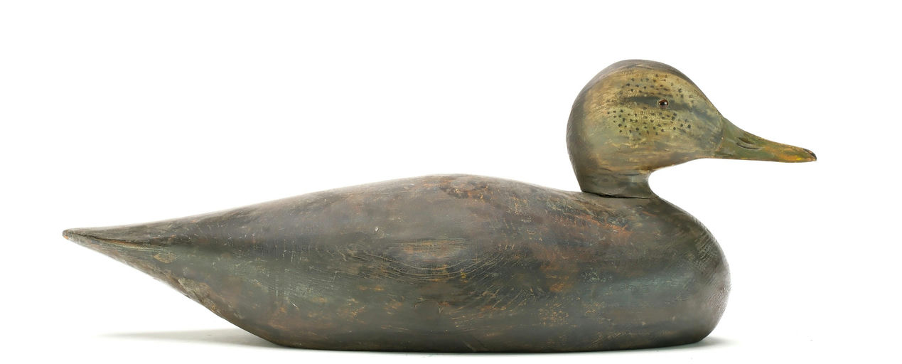 Elmer Crowell – Black Duck – 2025