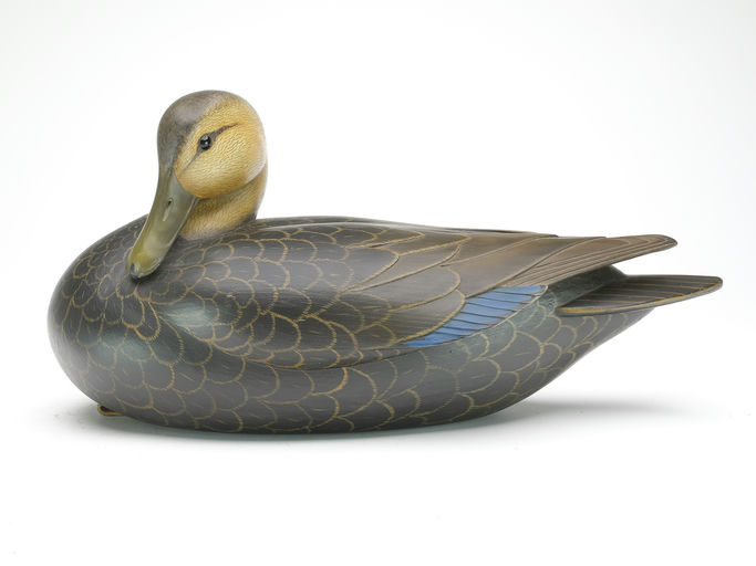Bill Gibian – Black Duck – 2023