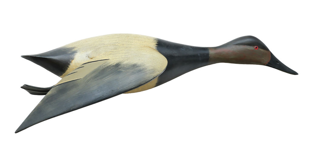 Chauncey Wheeler – Canvasback – 2025
