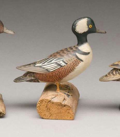 James Lapham – Miniature Hooded Merganser Drake – 2009