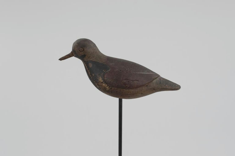 Verity Family – Plump Ruddy Turnstone – 2026