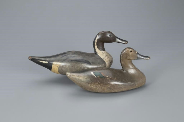 Howard Davis – Pintail Pair – 2020