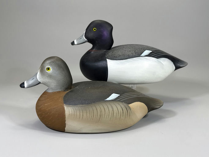 Charlie Joiner – Ringneck – 2026