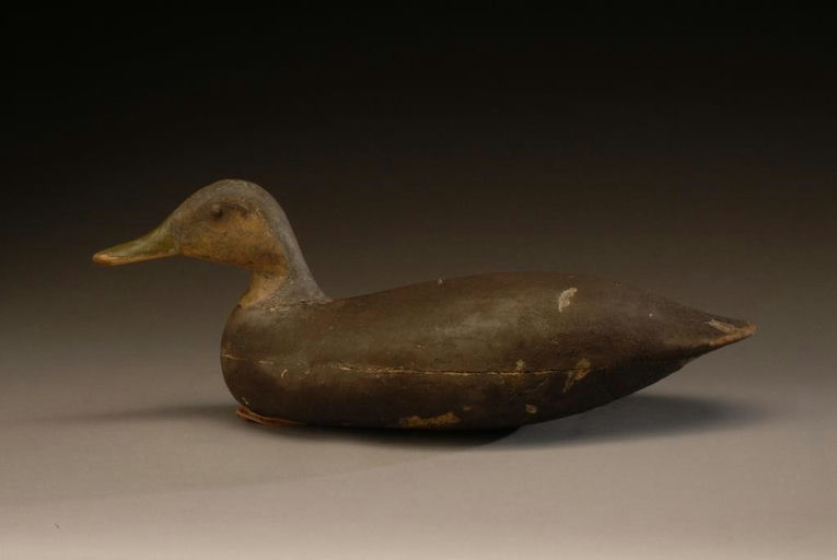 Harry Mitchell Shourds – Black Duck – 2008