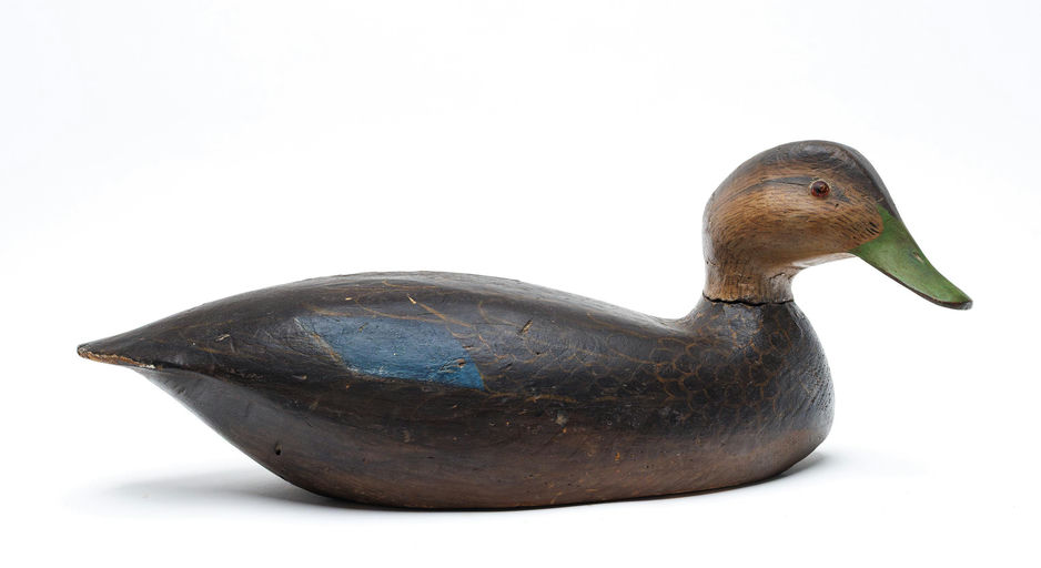Ward Brothers – Black duck – 2026