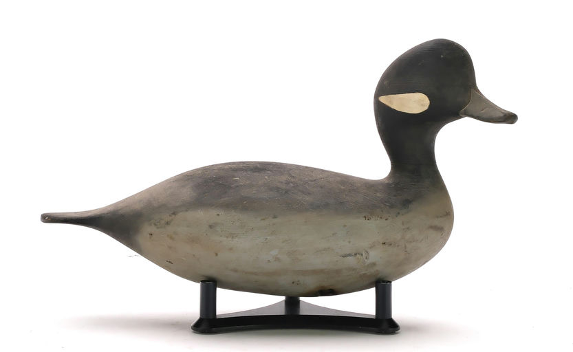 Pete Peterson – Bufflehead Hen – 2024