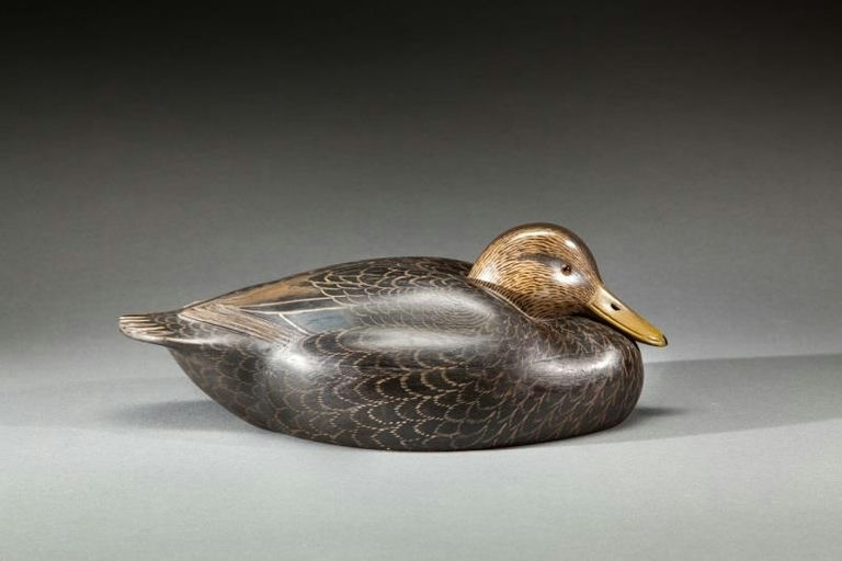 John McLoughlin – Resting Black Duck – 2015