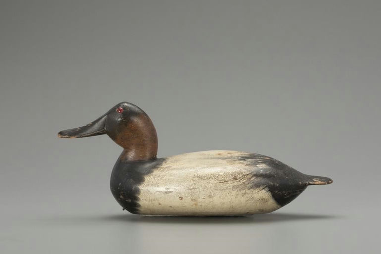 Robert Elliston – Canvasback Drake – 2018
