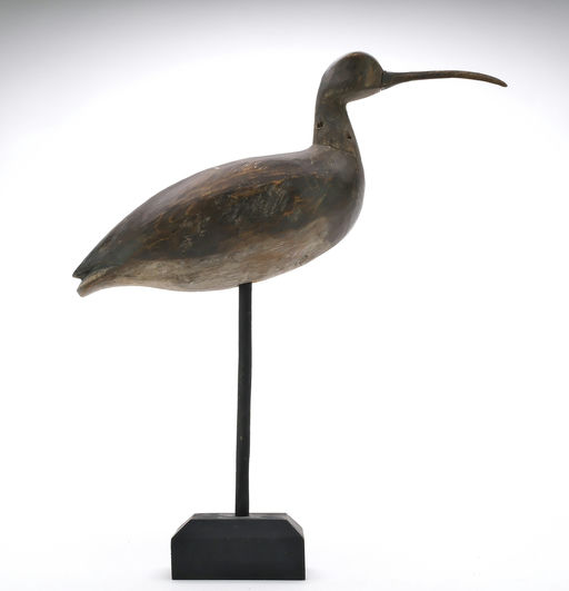 Reggie Birch – Curlew – 2024
