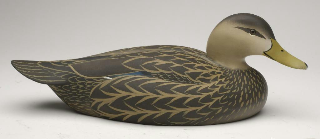 Oliver Lawson – Black Duck – 2023