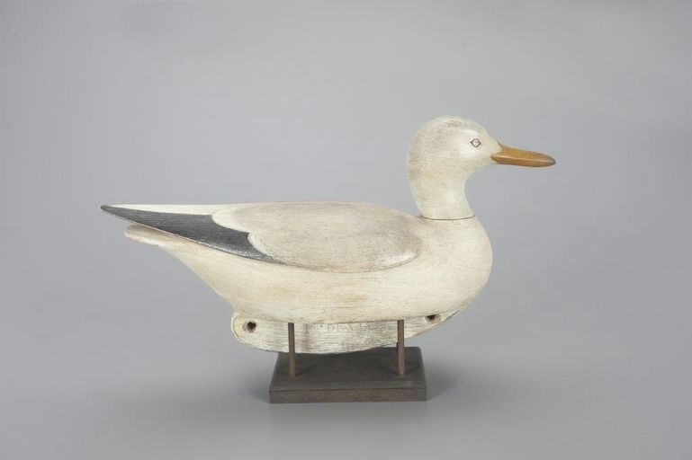 Mark McNair – Gull – 2023