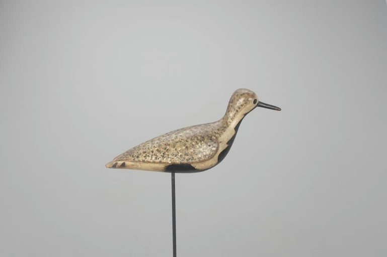 Mark McNair – Black-Bellied Plover – 2022
