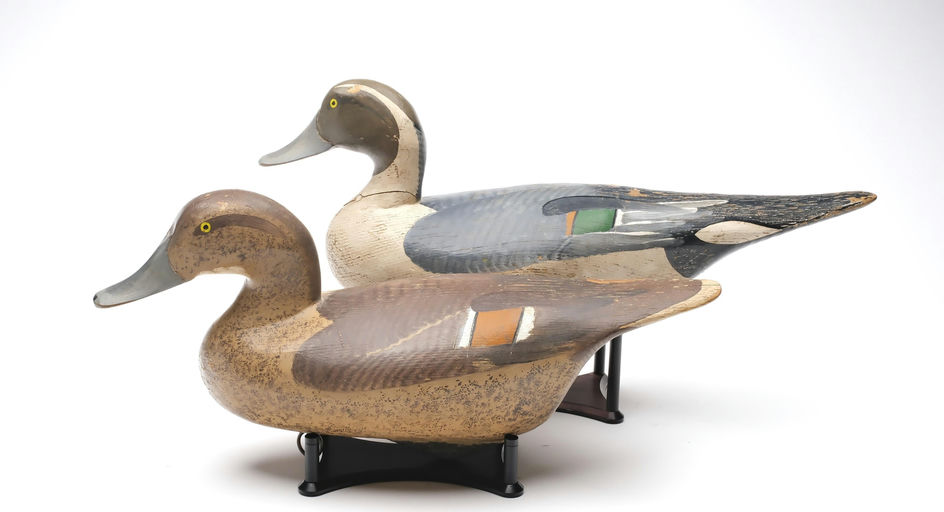 R. Madison Mitchell – Pair of Pintail – 2026