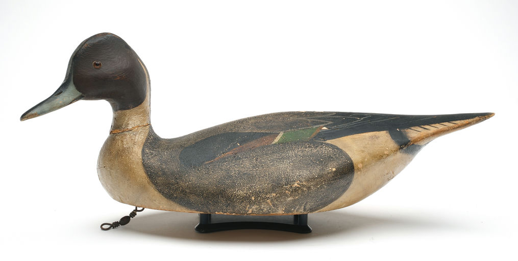 Ward Brothers – Pintail – 2026