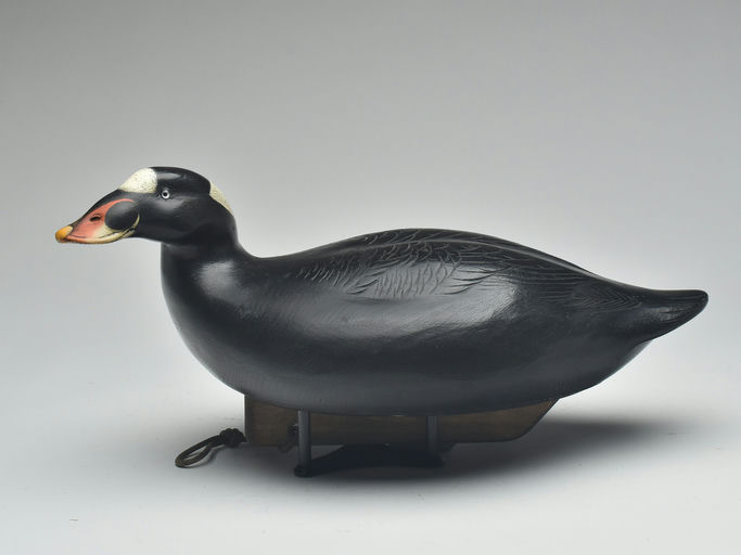 Jim Schmiedlin – Scoter – 2023
