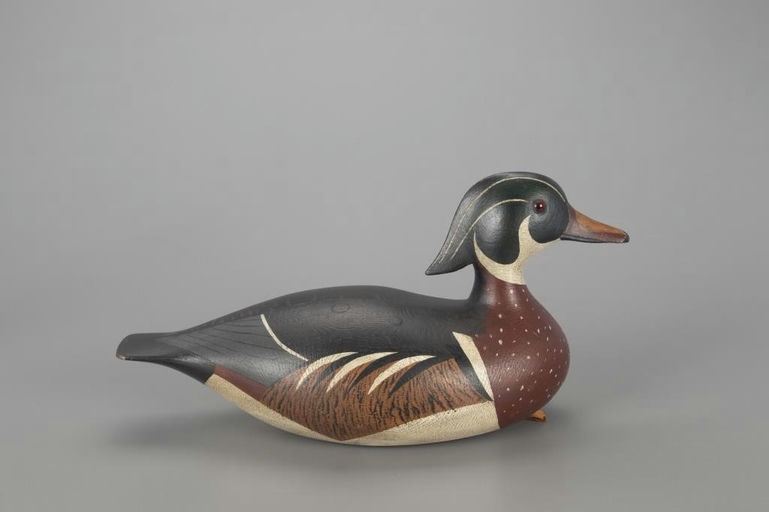 Joseph Lincoln – Wood Duck – 2022