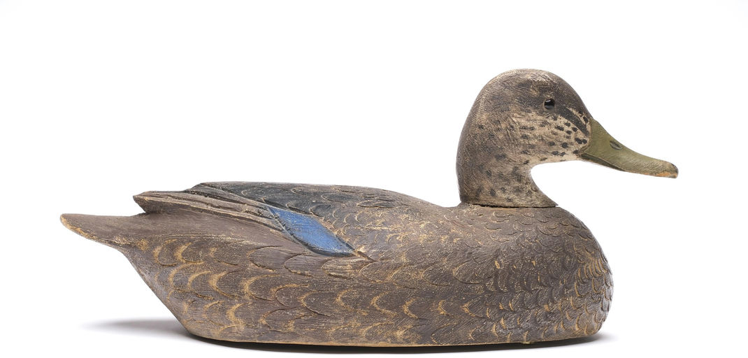 Ben Schmidt – Black Duck – 2026