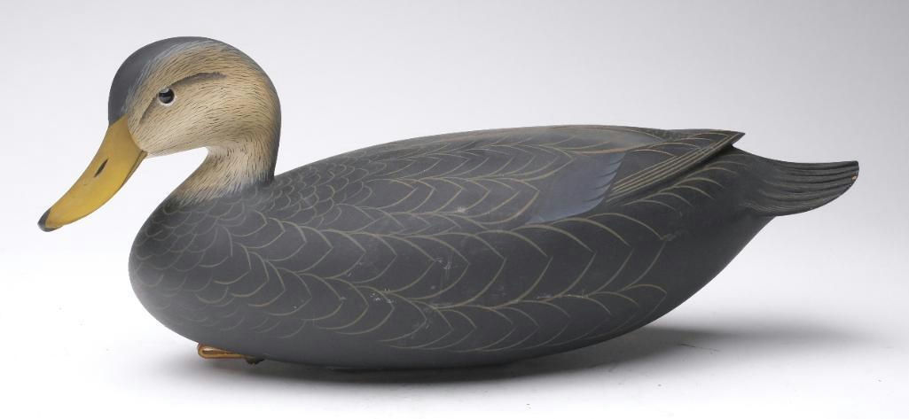 George Strunk – Black Duck – 2024
