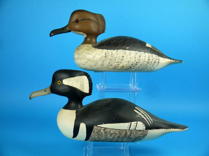 Charles R. Birdsall – Hooded Merganser Pair – 2026