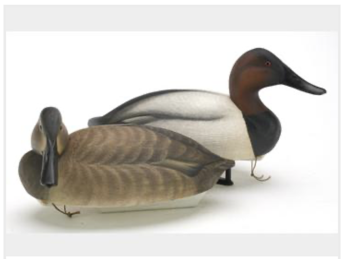 Marty Hanson – Canvasback