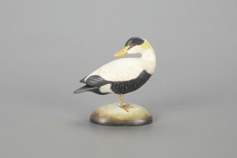 Frank Finney – Miniature Preening Eider – 2022
