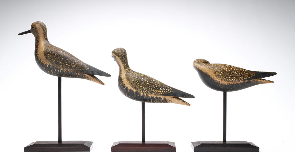 Mark McNair – Trio of Golden Plover – 2026