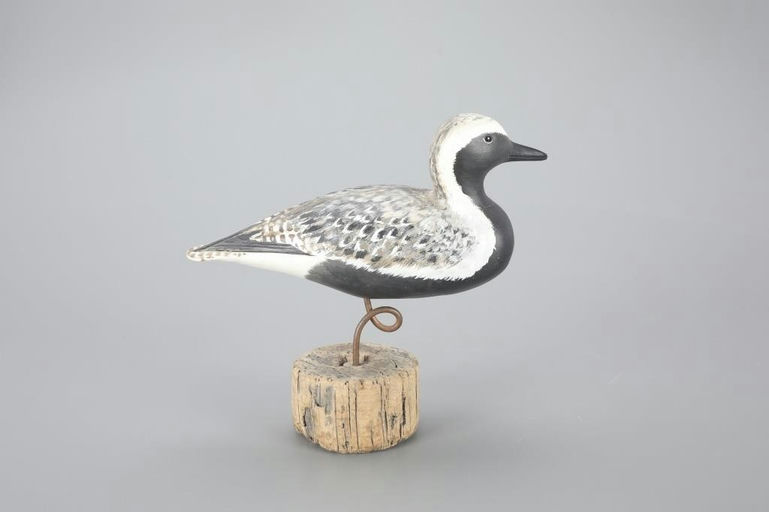 Ed Snyder – Rare Plover – 2023