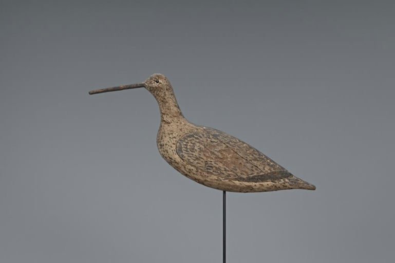 Thomas Gelston – Curlew – 2019