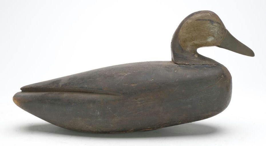 Eli Doughty – Black Duck – 2023