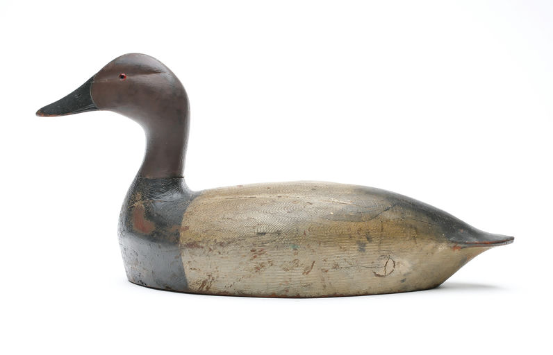 Chauncey Wheeler – Canvasback – 2025