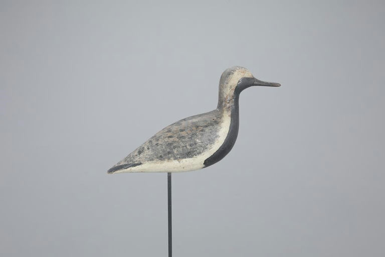 Harry V. Shourds – Black-Bellied Plover – 2023