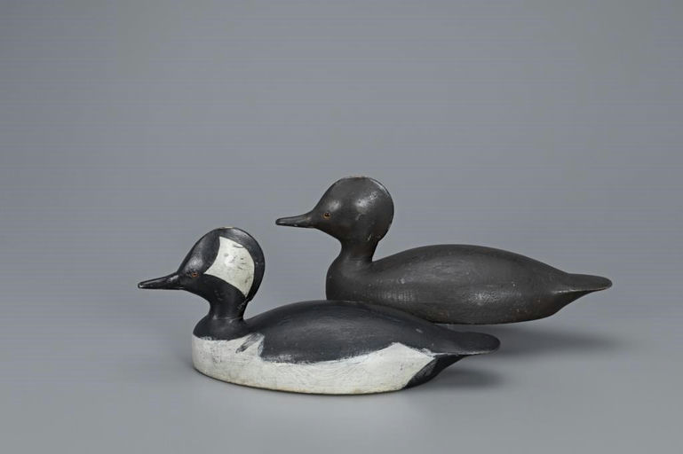 C. William Chrysler – Hooded Merganser Pair – 2019