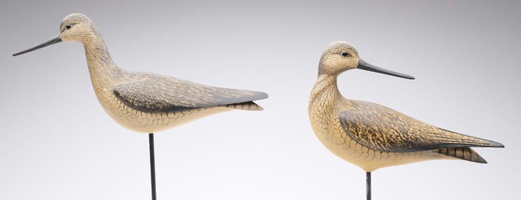 Bill Gibian – Pair of Yellowlegs – 2024