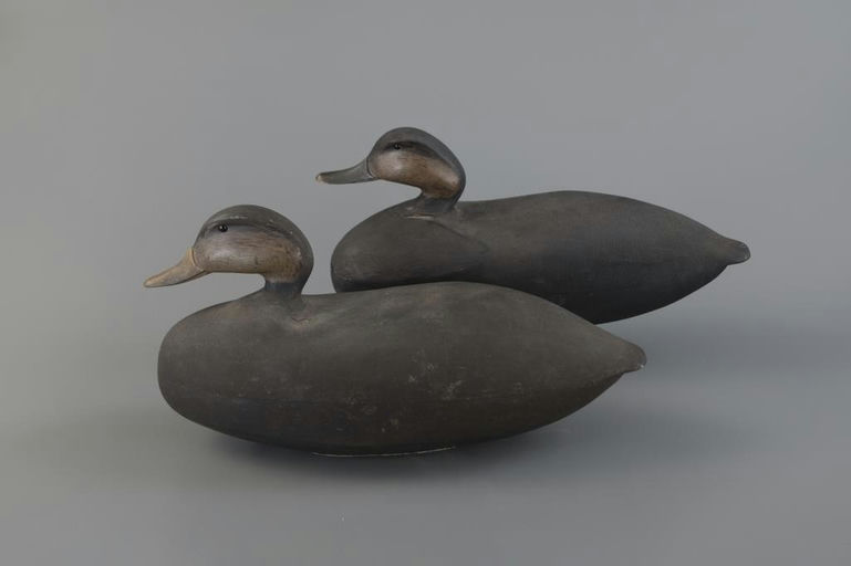 Clark Madera – Black Duck Pair – 2025