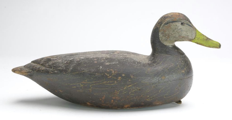 Dave "Umbrella" Watson – Black duck – 2023