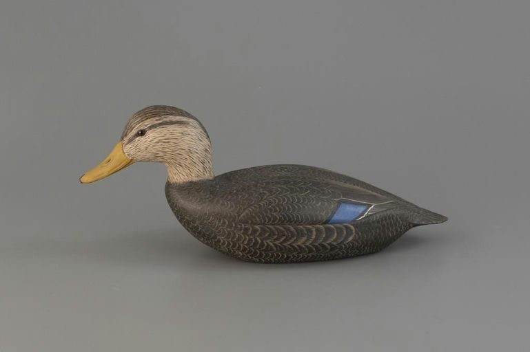 Corb Reed – Black Duck – 2025