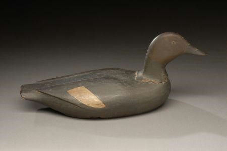 Gus Wilson – Swimming Turned-Head Scoter Hen – 2007